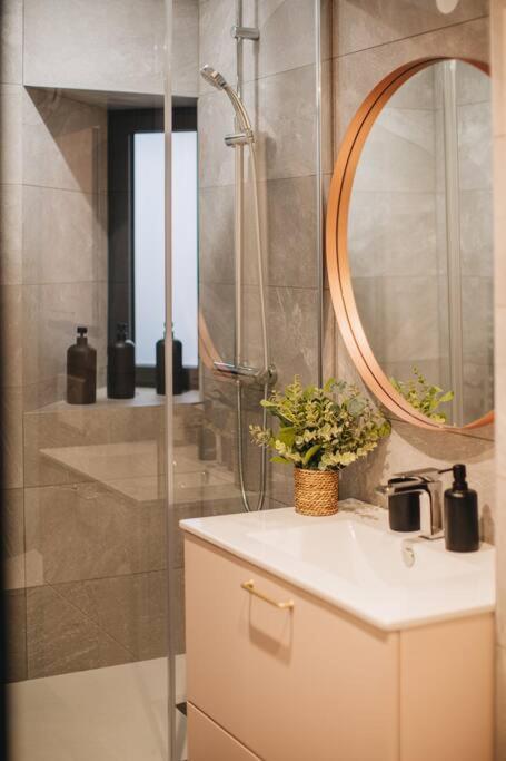 La Vie En Rose - Luxe, Calme & Hypercentre - 3* Apartment Анси Екстериор снимка