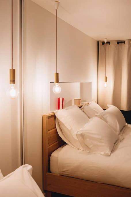 La Vie En Rose - Luxe, Calme & Hypercentre - 3* Apartment Анси Екстериор снимка