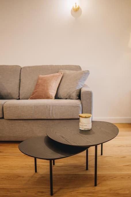 La Vie En Rose - Luxe, Calme & Hypercentre - 3* Apartment Анси Екстериор снимка