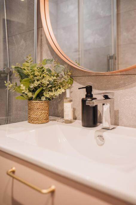 La Vie En Rose - Luxe, Calme & Hypercentre - 3* Apartment Анси Екстериор снимка
